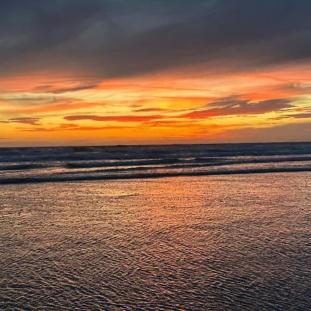 Vue Laterale 卡米尔斯